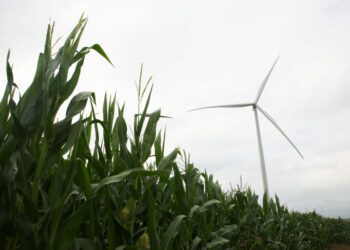 South Dakota Searchlight