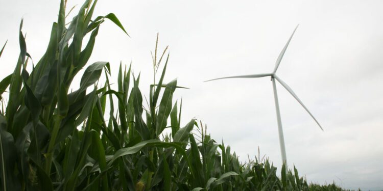 South Dakota Searchlight