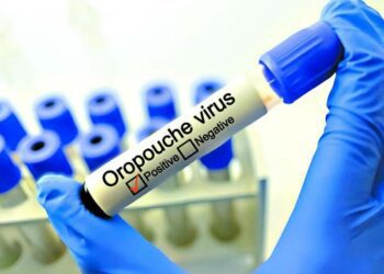 Decretan alerta por el virus de oropouche en América del Sur y Cuba