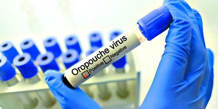 Decretan alerta por el virus de oropouche en América del Sur y Cuba