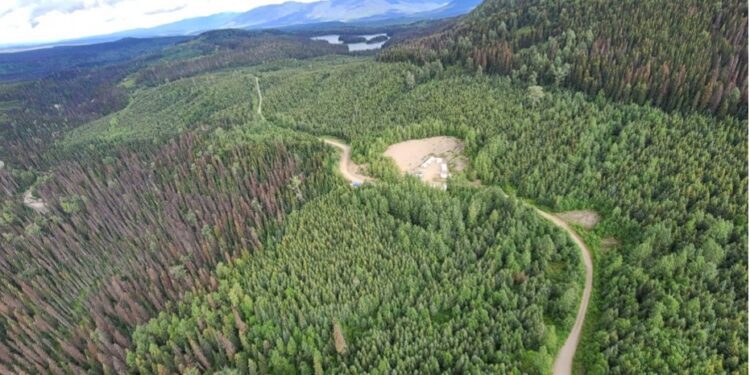 Defense Metals, Saskatchewan Research Council team up to strengthen Canada's REE supply chain