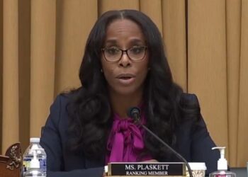 Del. Plaskett has a creative opinion of the purpose of FBI, DOJ