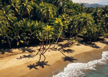 Dominica Is Back From the Brink—and Ready To Share Its Treasures With the World