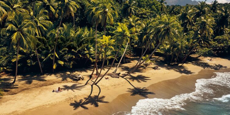 Dominica Is Back From the Brink—and Ready To Share Its Treasures With the World