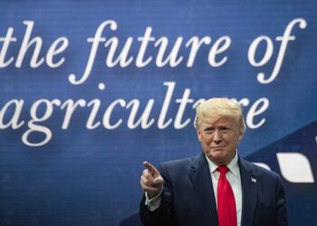 Donald Trump Fires at Kamala Harris: ‘Rapists, Murderers, and Drug Dealers – Thank Her for Letting You Into America!’