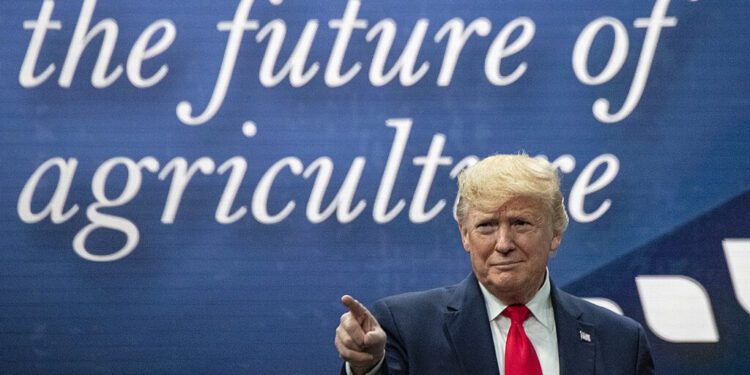 Donald Trump Fires at Kamala Harris: ‘Rapists, Murderers, and Drug Dealers – Thank Her for Letting You Into America!’