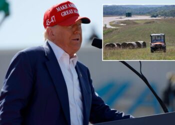 Donald Trump eyes ban to stop China threat to US farmers, food supply