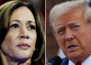Donald Trump leads Kamala Harris in Arizona