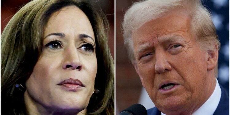 Donald Trump leads Kamala Harris in Arizona