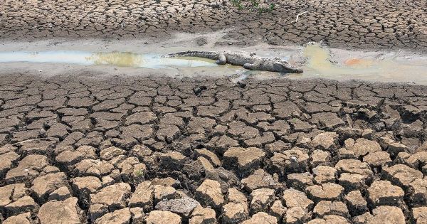 Drought in Brazil reaching unprecedented limits — MercoPress