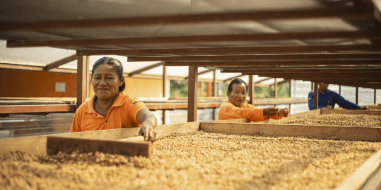 Ecuador launches deforestation-free coffee certification