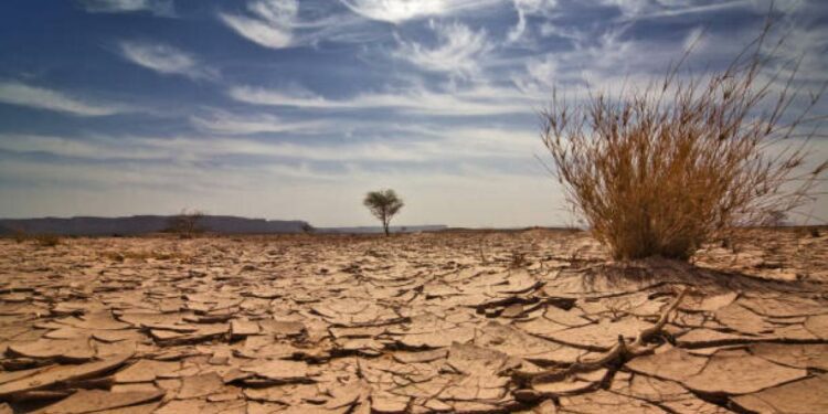 Ecuador tendrá apagones nocturnos en todo el país por crisis energética causada por sequía