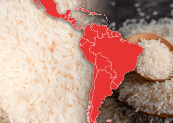 El paÃs de América Latina que consume más arroz del mundo: superó como el más 'arrocero' a Perú y España | Sudamérica | Brasil | Exportación | China | ¿Por qué se debe lavar el arroz antes de cocinarlo? | ¿Consumir arroz frÃo engorda menos? | ¿Cuáles son las diferencias entre el arroz blanco y el arroz integral? | Mundo