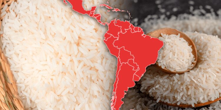 El país de América Latina que consume más arroz del mundo: superó como el más 'arrocero' a Perú y España | Sudamérica | Brasil | Exportación | China | ¿Por qué se debe lavar el arroz antes de cocinarlo? | ¿Consumir arroz frío engorda menos? | ¿Cuáles son las diferencias entre el arroz blanco y el arroz integral? | Mundo