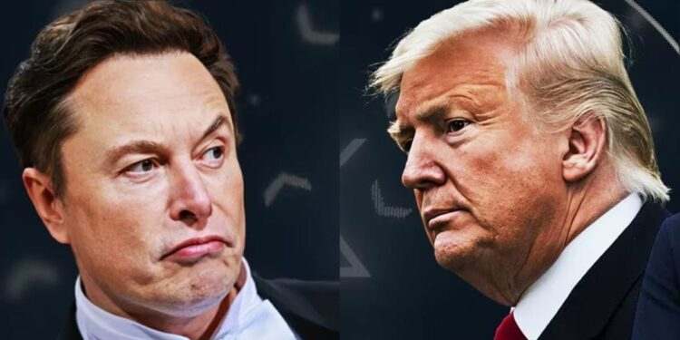 Elon Musk’s pro-Trump America PAC ramps up ad blitz – Firstpost