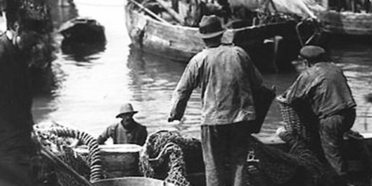 Australia’s gold rush