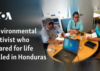Environmental activist who feared for life killed in Honduras