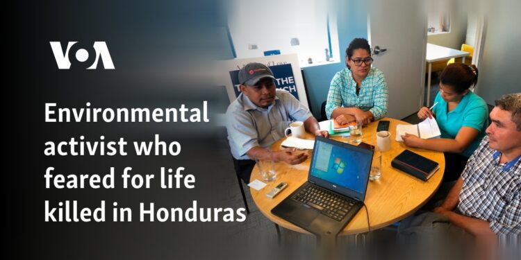 Environmental activist who feared for life killed in Honduras