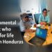 Environmental activist who feared for life killed in Honduras