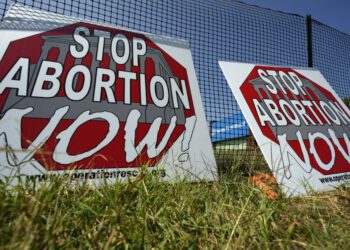 Euphoric two years ago, US anti-abortion movement is now divided and worried as election nears