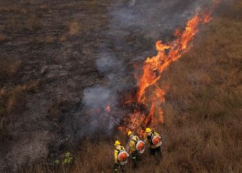 Aerial view of firefighters working on a fire outbreak in a rural area of Corumba, Mato Grosso do Sul State, Brazil on June 26, 2024.