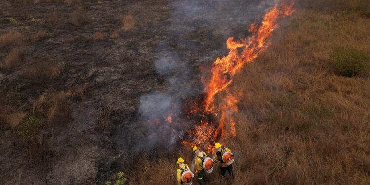 Aerial view of firefighters working on a fire outbreak in a rural area of Corumba, Mato Grosso do Sul State, Brazil on June 26, 2024.