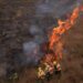Aerial view of firefighters working on a fire outbreak in a rural area of Corumba, Mato Grosso do Sul State, Brazil on June 26, 2024.