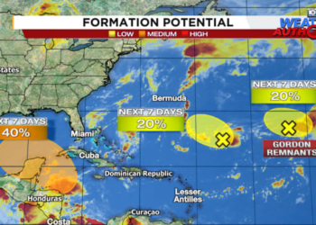 Following development trends for the Gulf of Mexico next week