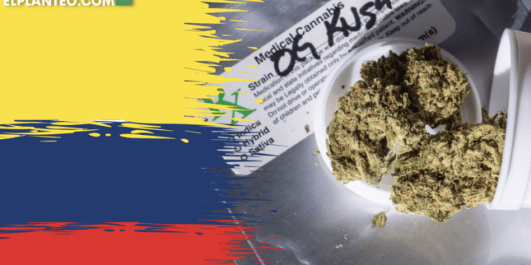 Game-Changer: Colombia To End Ban On Medical Cannabis Flower Sales, Prioritizing Smaller Producers And Patients