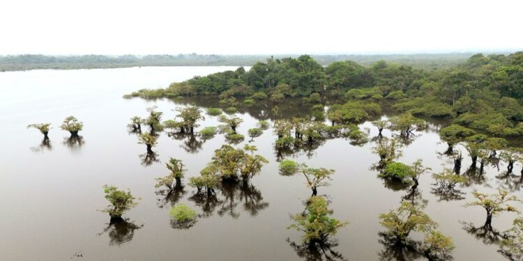 Goldman, BofA Are Working on a Debt-Swap Deal for Ecuador
