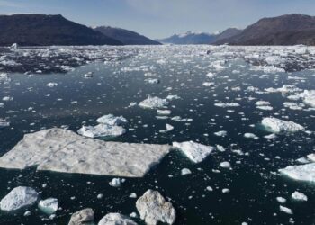 Greenland tsunami: A landslide triggered a 650-foot mega wave. What came next was bizarre