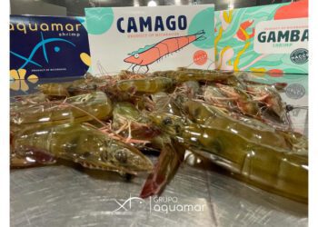 Grupo Aquamar aims to strengthen brand awareness in Singapore, Hong Kong