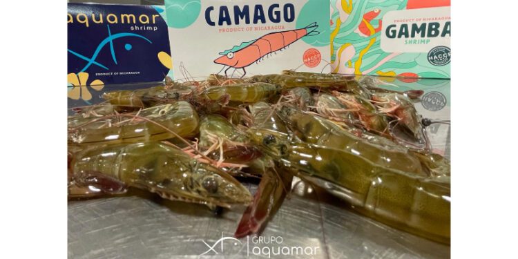 Grupo Aquamar aims to strengthen brand awareness in Singapore, Hong Kong