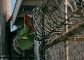 Guyana Seizes 4 Tons of Cocaine Destined for Europe