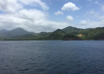 HRW: Americas governments offering inadequate protections for asylum seekers and migrants - JURIST