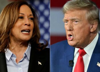 Harris Vows To Fix US Immigration System, Trump Says "This Is Bad Timing"