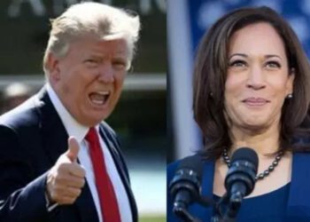 Hindus for America First endorses Trump: 'He is pro-India, Harris would be destabilizing’