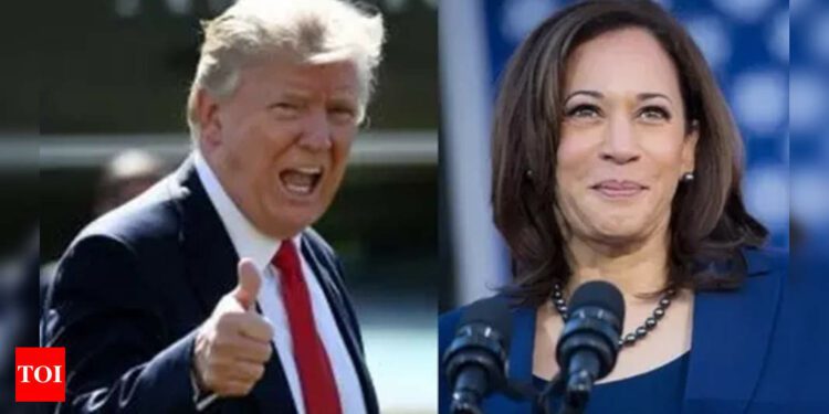 Hindus for America First endorses Trump: 'He is pro-India, Harris would be destabilizing’