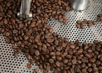 Honduras coffee exports slide nearly 20% in August - Markets