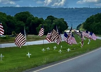 Honor Veterans With The Avenue Of Flags - WEIS
