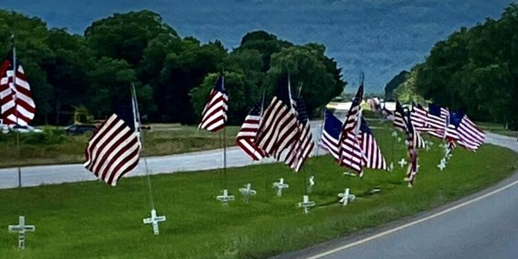 Honor Veterans With The Avenue Of Flags - WEIS