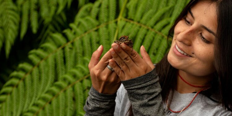 How Could Tetrodotoxins From Frogs In Ecuador Help Treat Pain?