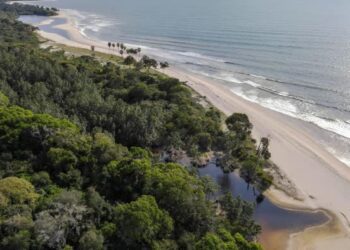 How Gabon’s debt-for-nature swap survived a palace coup