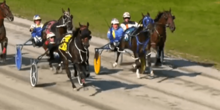 Hugh Heff becomes sole North America wins leader