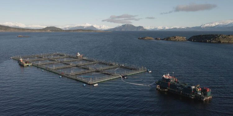 Humane Farm Animal Care certifies Cermaq Chile’s Magallanes operations