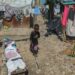 Hunger in Haiti reaches famine levels as gangs squeeze life out of the capital and beyond