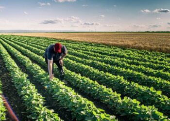 India’s Weather Risk Management Services expands in Latin America