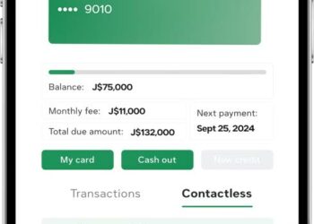 JMMB ‘flows’ into microcredit - Jamaica Observer