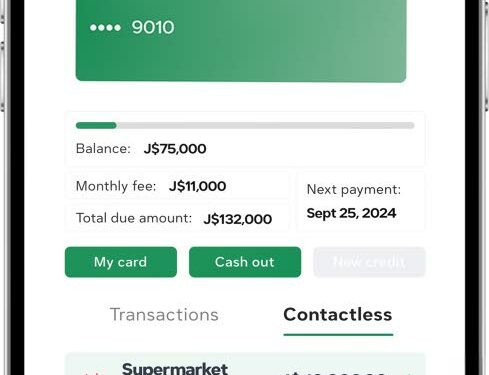 JMMB ‘flows’ into microcredit - Jamaica Observer