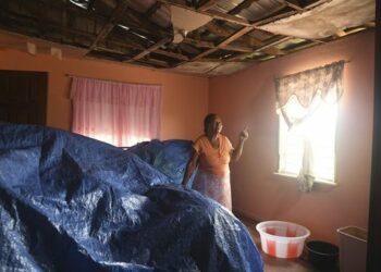 Jamaica's female farmers rebuild after Hurricane Beryl through women-led cash voucher program - ABC 6 News